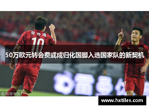50万欧元转会费或成归化国脚入选国家队的新契机 50万欧元转会费或成归化国脚入选国家队的新契机