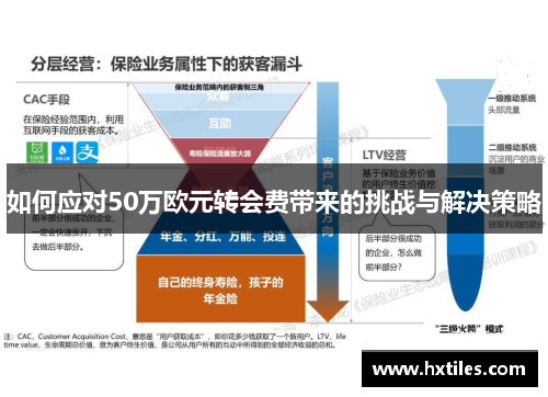 如何应对50万欧元转会费带来的挑战与解决策略